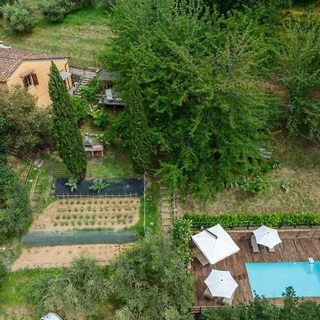فيلا La Casa Sui Colli Uzzano المظهر الخارجي الصورة