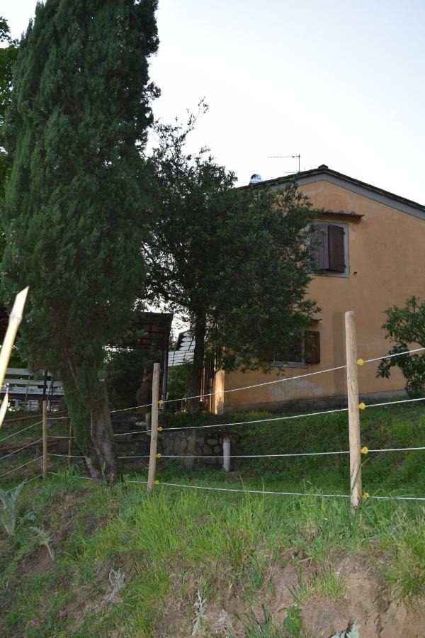 فيلا La Casa Sui Colli Uzzano المظهر الخارجي الصورة