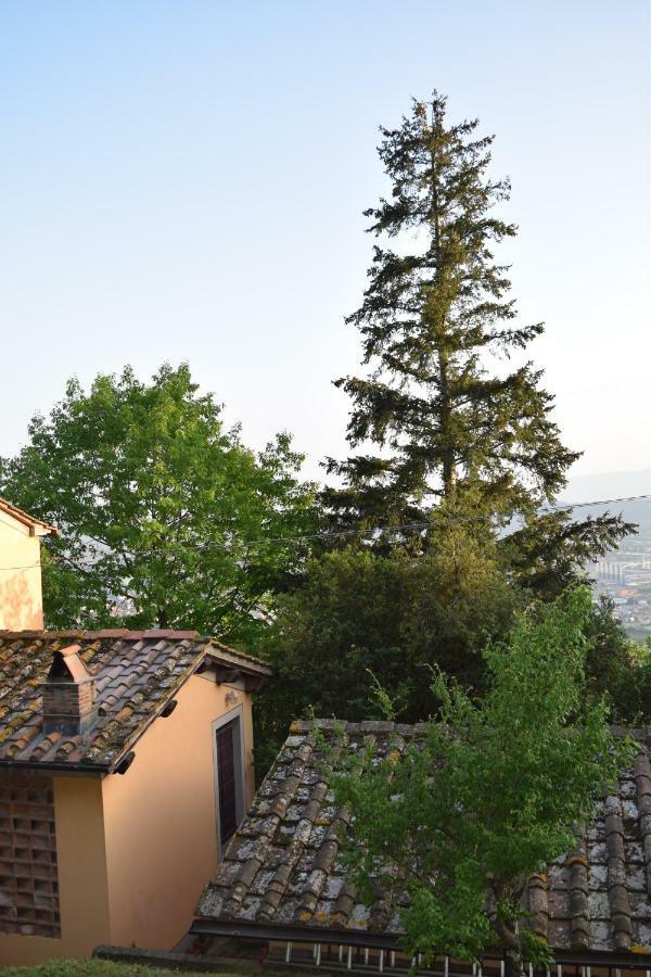 فيلا La Casa Sui Colli Uzzano المظهر الخارجي الصورة